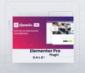 elementor-pro-plugin