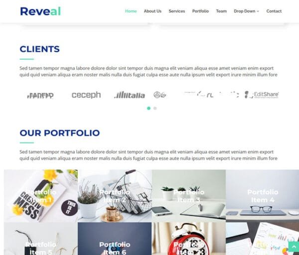 reveal-html-screenshot